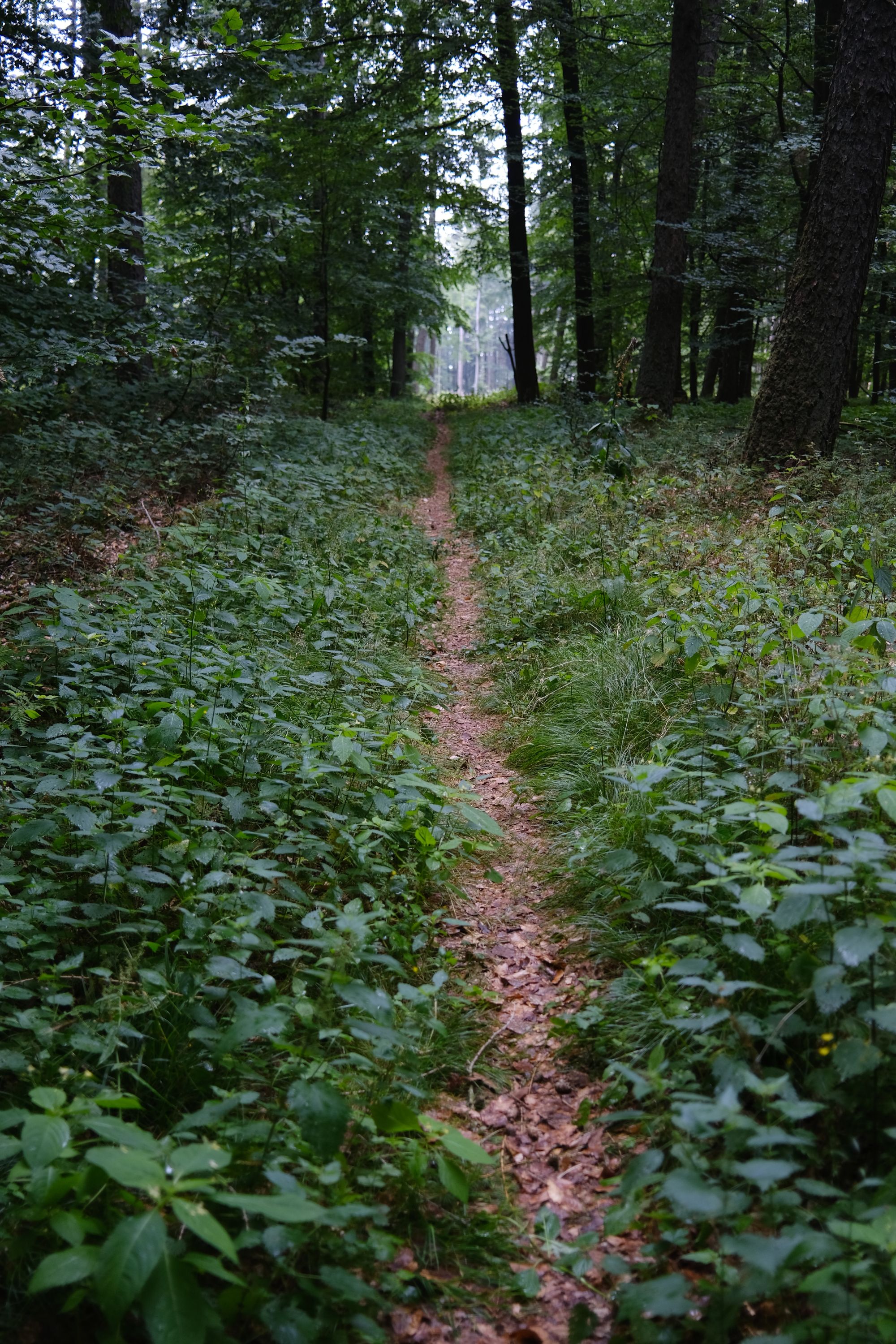 Gedanken auf Wanderschaft – Juni 2023