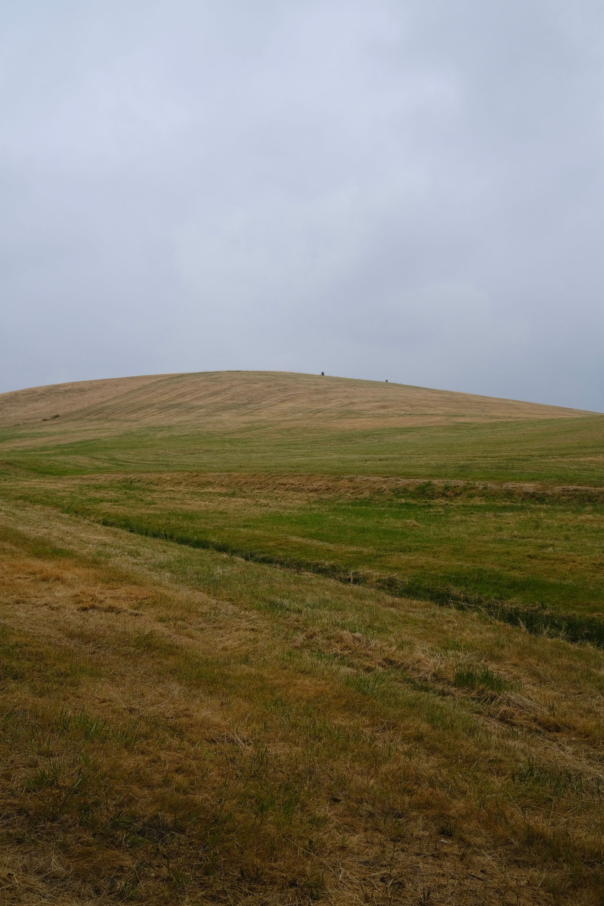 Gedanken auf Wanderschaft – Juni 2023