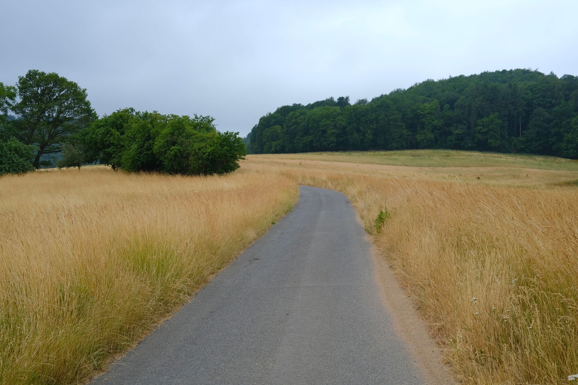 Gedanken auf Wanderschaft – Juni 2023