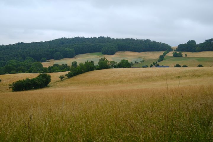 Gedanken auf Wanderschaft – Juni 2023